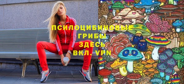 хмурый Костерёво