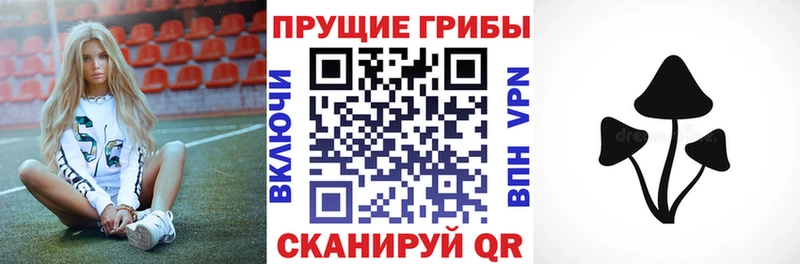 Галлюциногенные грибы мухоморы  где купить наркотик  Ленинск-Кузнецкий 