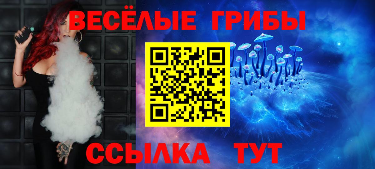 Псилоцибиновые грибы Psilocybine cubensis Ленинск-Кузнецкий