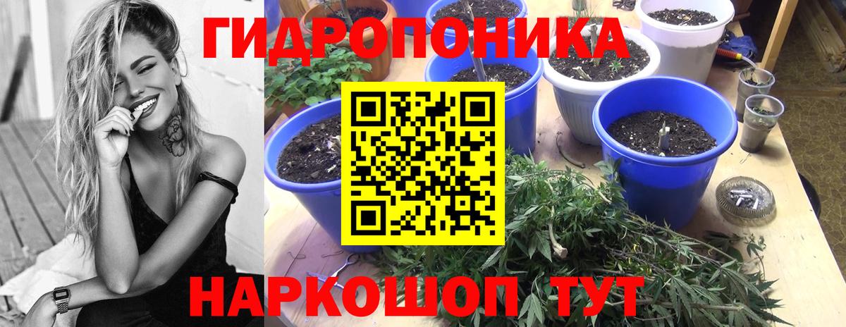 Конопля THC 21%  Вход с VPN  Бошки марихуана White Widow  Марихуана SATIVA & INDICA  Каннабис семена  Ленинск-Кузнецкий 